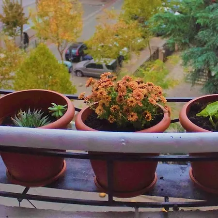 Apartmán Centre Big Art'partment Heart Of The Capital *